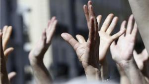 26918431_15323738-limghandler